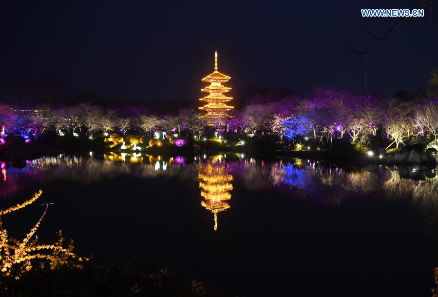 Photo taken on March 3, 2021 shows a night view of cherry blossom garden by the East Lake in Wuhan, central China