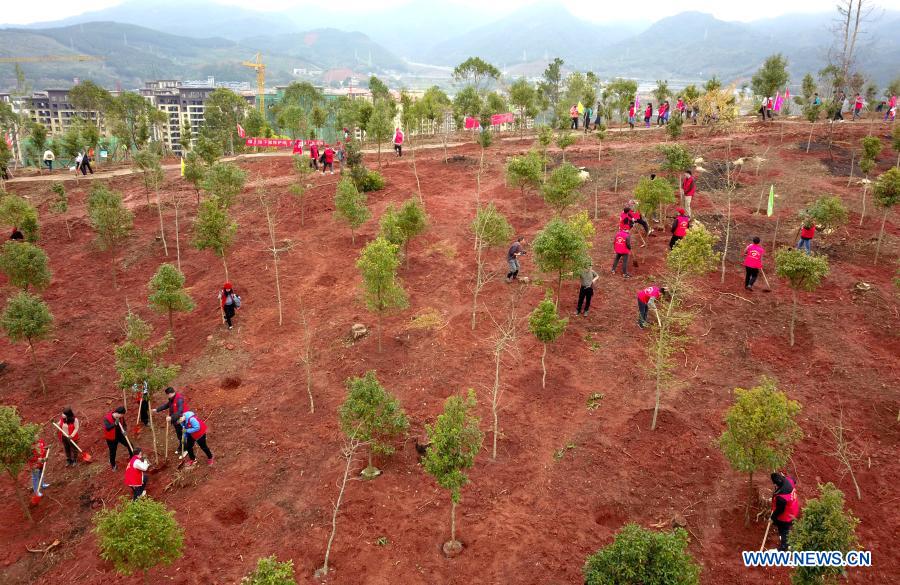Aerial photo shows people planting trees in Nanping City, southeast China
