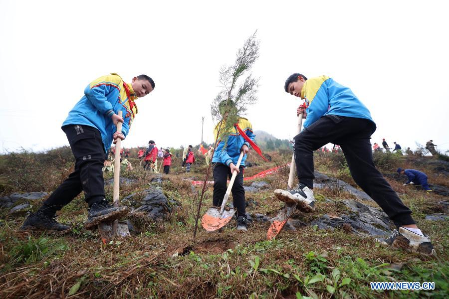 Students plant saplings in Danzhai County, southwest China