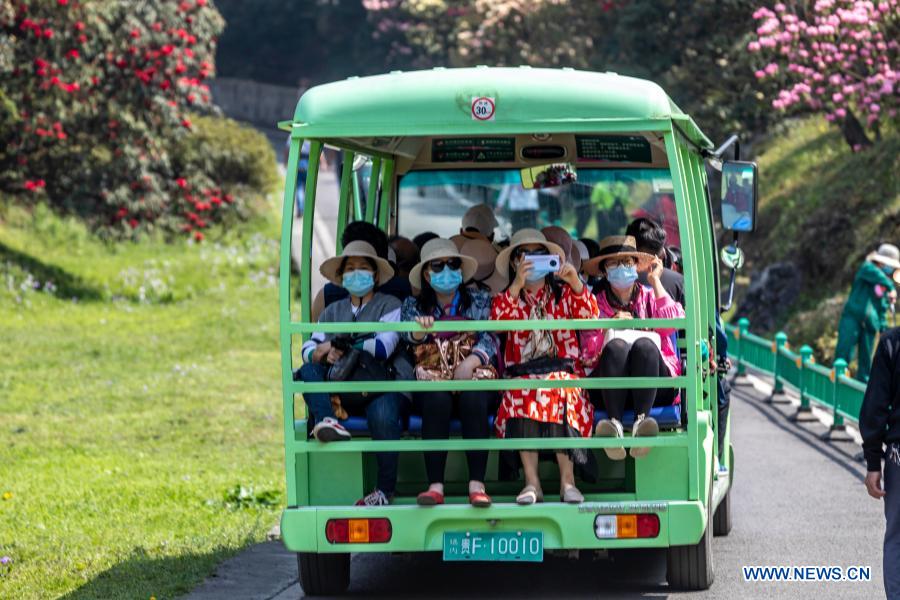 Tourists takes photos of azalea flowers at Jinpo scenic spot in Bijie City, southwest China