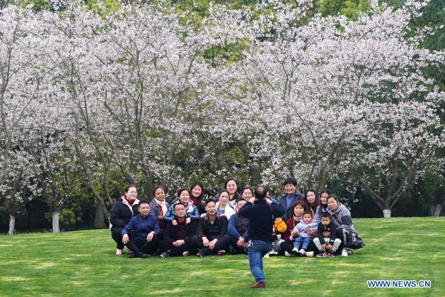 People pose for a group photo in front of cherry blossoms at Fenghuanggou scenic area in Nanchang County of east China