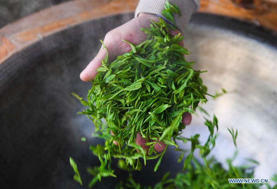 A farmer stirs and roasts fresh Longjing tea leaves at Meijiawu Village of Hangzhou City, east China