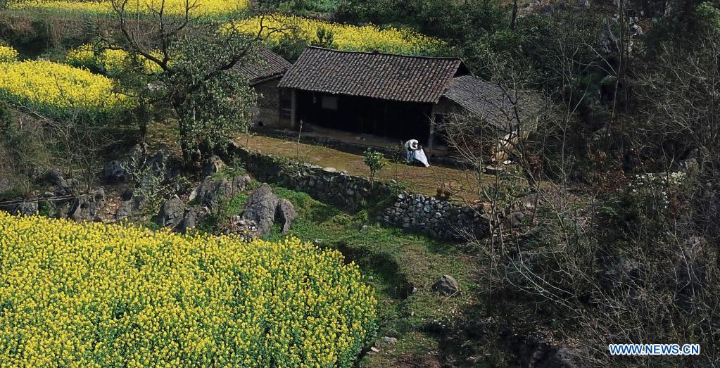 Aerial photo shows Zhuo Yihang giving haircut to an elderly person in Liangshan Village in Cili County, central China