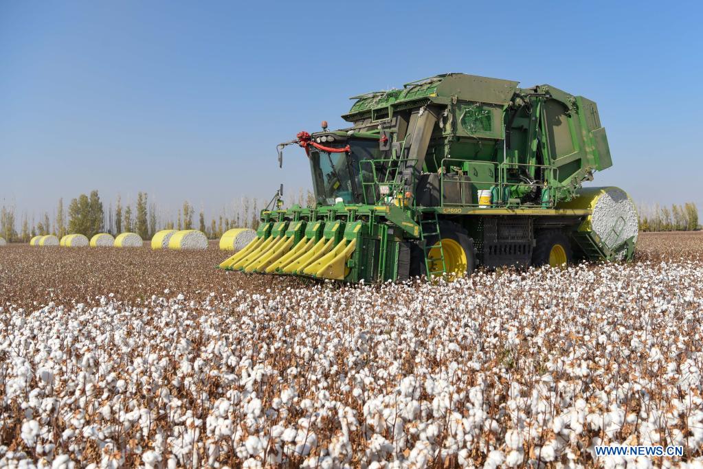 Photo taken on Oct. 17, 2020 shows a machine harvesting cotton in a field in Wenjiazhuang Village, Manasi County of northwest China