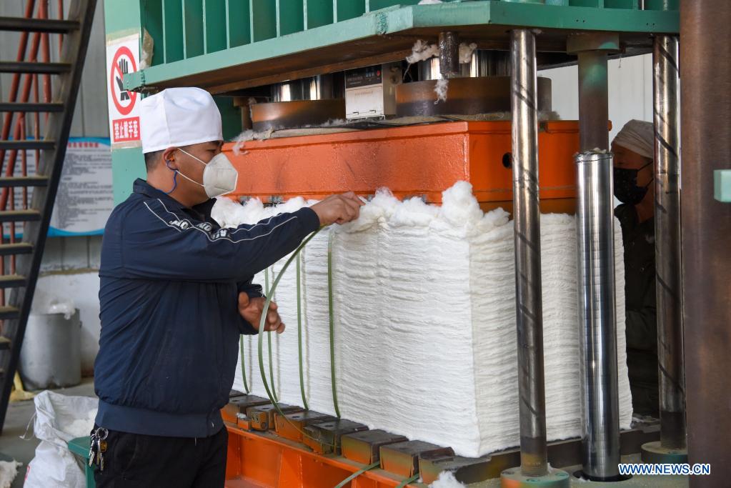 An employee works at a cotton factory in Manasi County, northwest China
