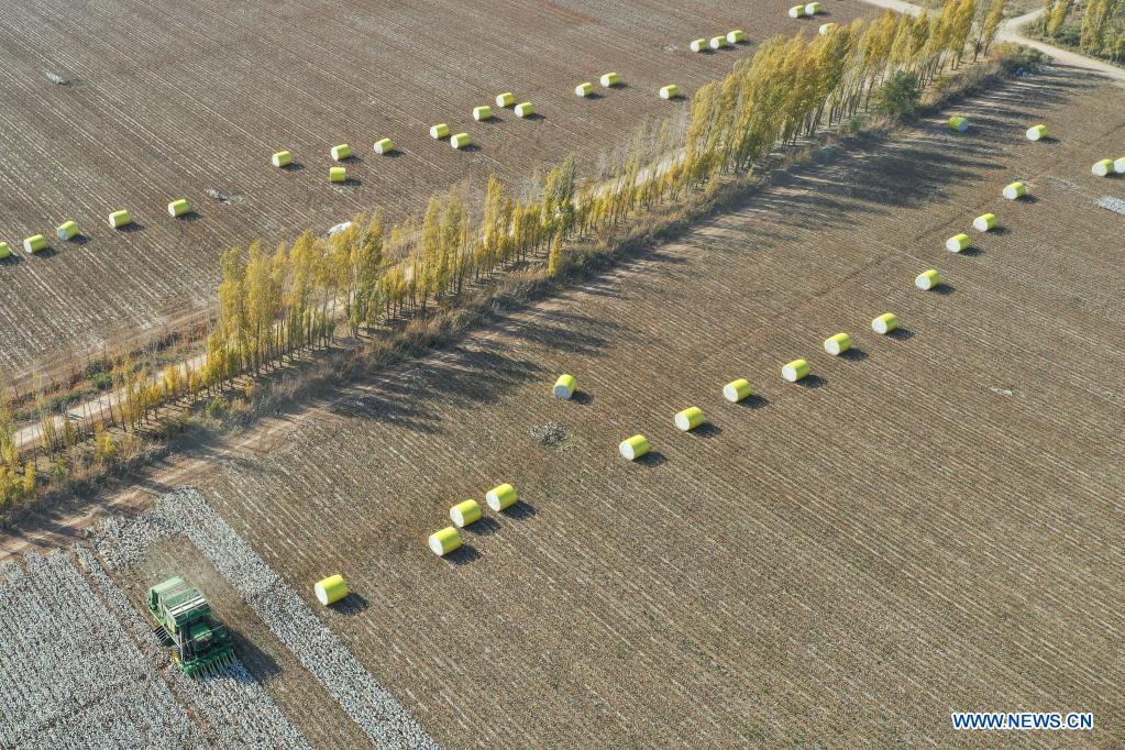 Aerial photo taken on Oct. 17, 2020 shows a machine harvesting cotton in a field in Wenjiazhuang Village, Manasi County of northwest China